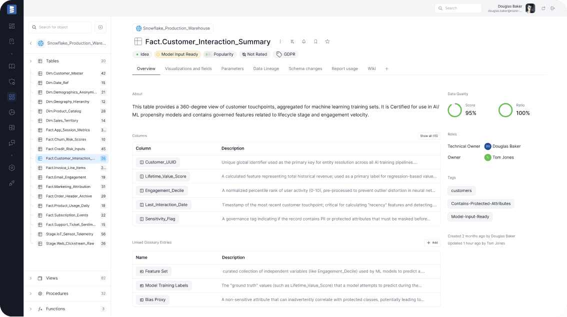 Dataedo Data Catalog Interface