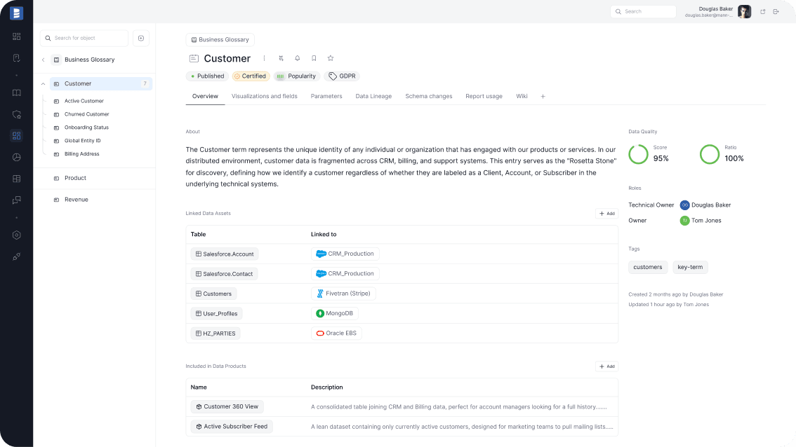Dataedo Data Catalog Interface