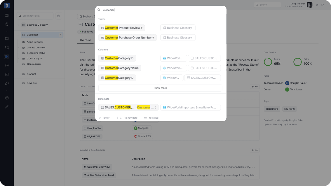 Dataedo Data Catalog Interface