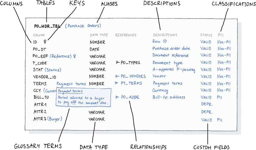 Data Dictionary Cartoon