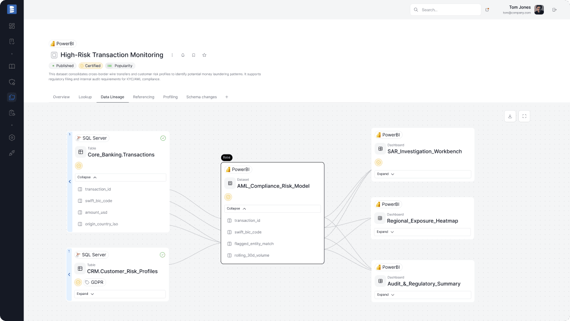 Dataedo Data Catalog Interface