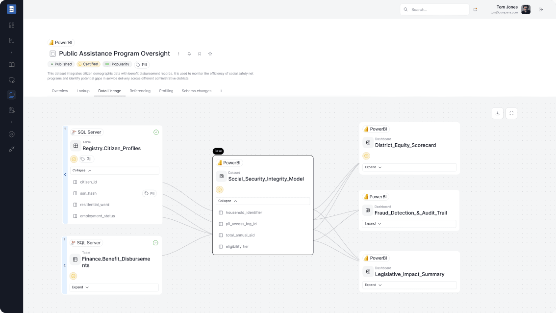 Dataedo Data Catalog Interface
