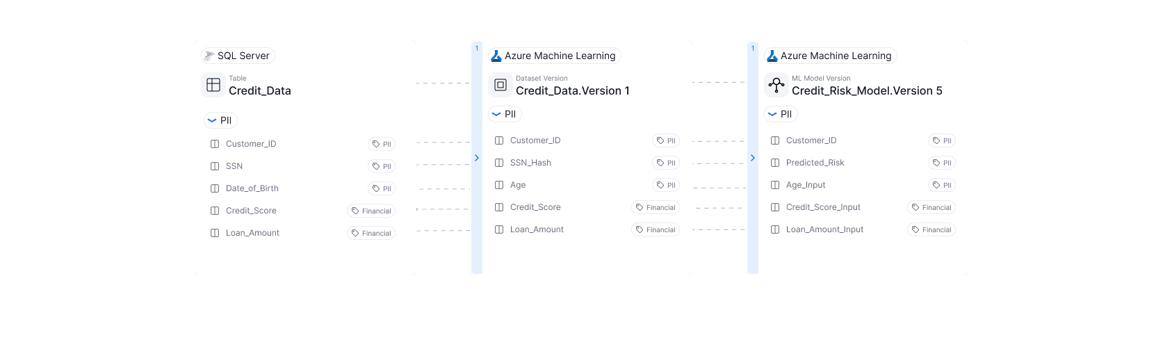 Classify sensitive and regulated inputs