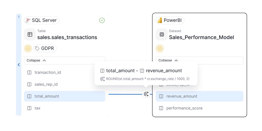 Visualize end-to-end data flows