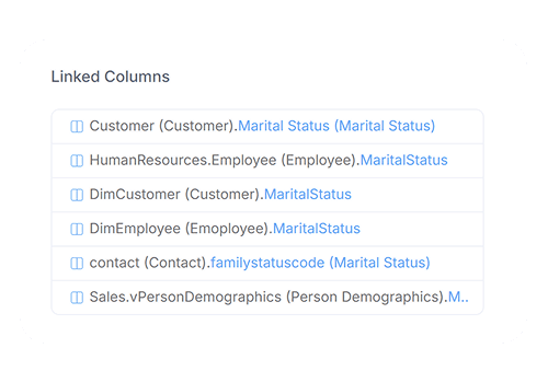 Dataedo Linked Columns