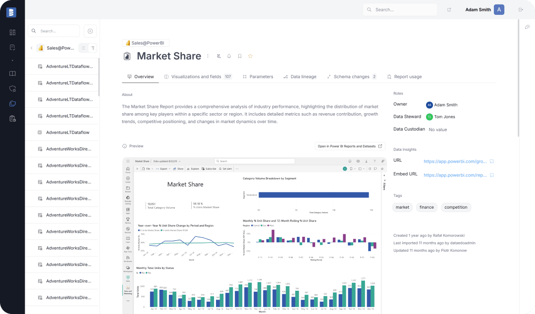 Dataedo Data Catalog Interface