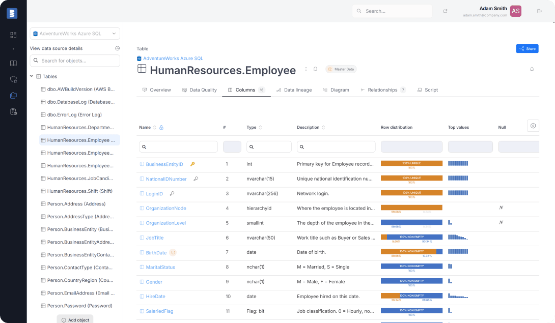 Dataedo Data Catalog Interface