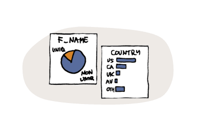 Data Profiling Results
