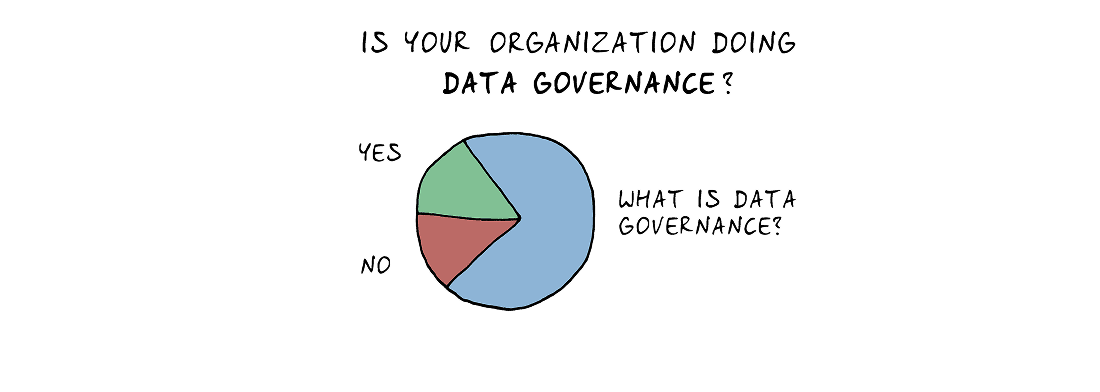 Data Governance Cartoon